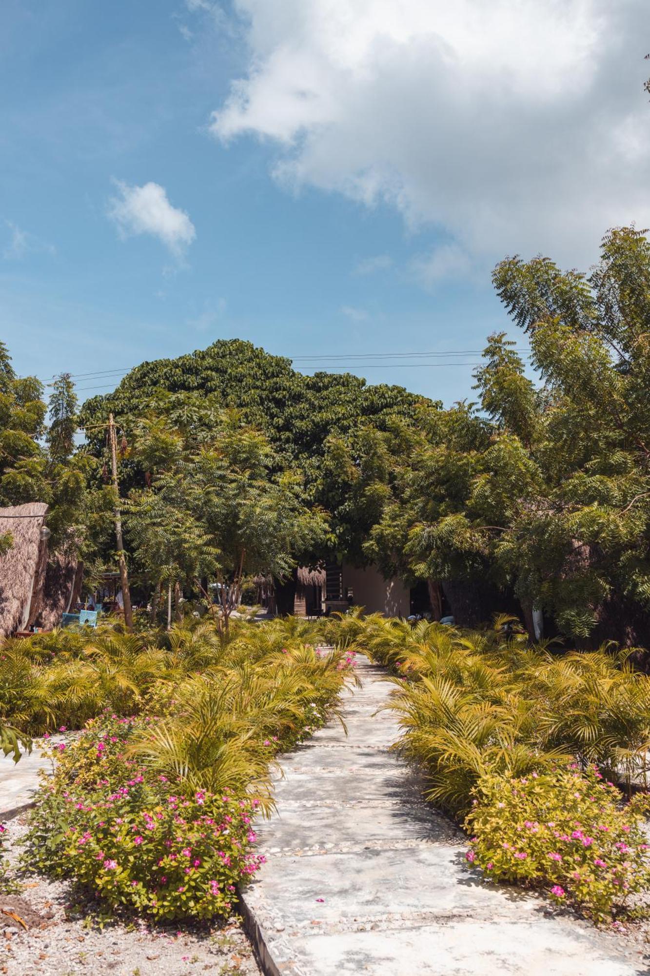 Amalife Beach Club & Hotel Tierra Bomba Luaran gambar
